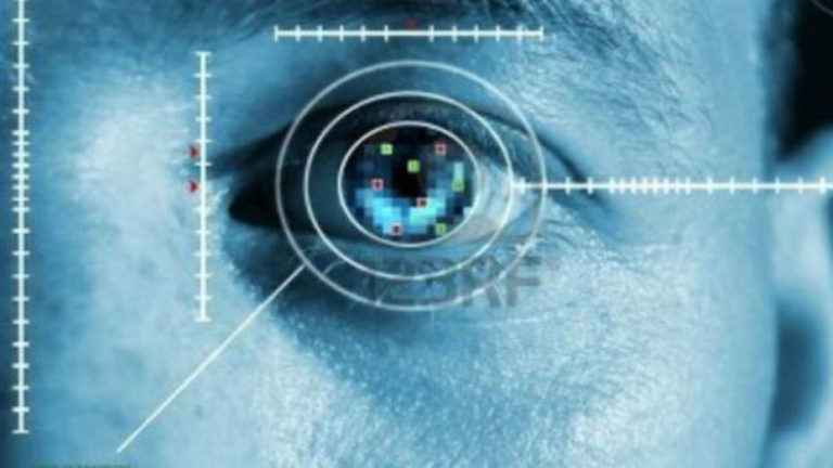 EL CUERPO COMO SISTEMA DE SEGURIDAD