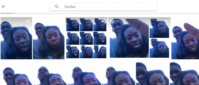 GOOGLE ARREGLA SU ALGORITMO ‘RACISTA’ BORRANDO A LOS GORILAS