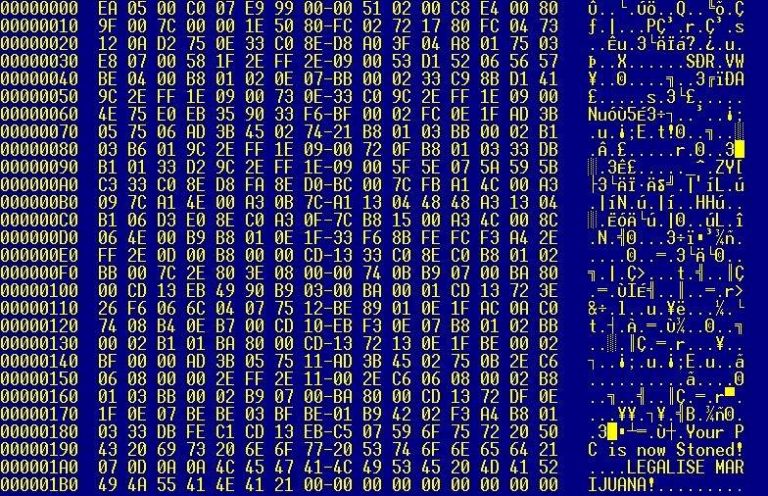 DATOS DE CENTENARES DE CLIENTES DE SEARS Y DELTA QUEDARON EXPUESTOS POR UN FALLO DE SEGURIDAD INFORMÁTICA