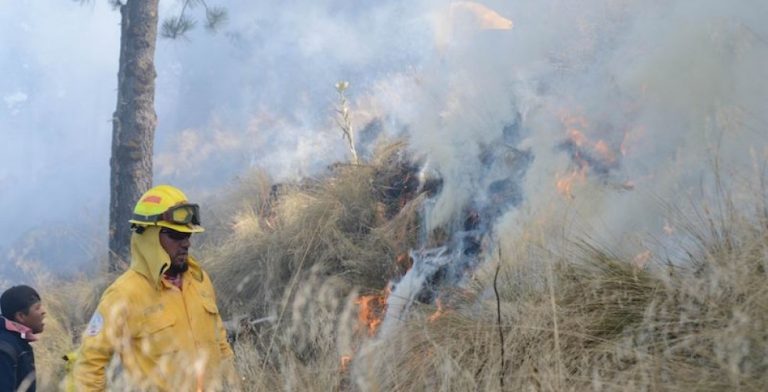 USAN VIDEOVIGILANCIA DE LA CDMX PARA INCENDIOS FORESTALES
