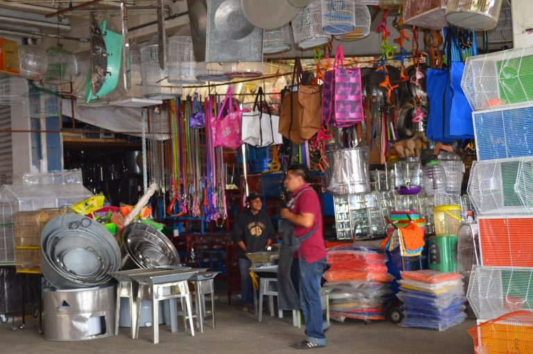 VIDEOVIGILANCIA Y ALERTA SÍSMICA PARA LA CENTRAL DE ABASTO DE ECATEPEC: ISIDRO MORENO