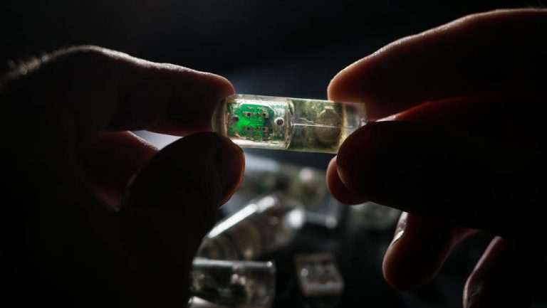 LA PÍLDORA ELECTRÓNICA QUE EXPLORA NUESTRO APARATO DIGESTIVO