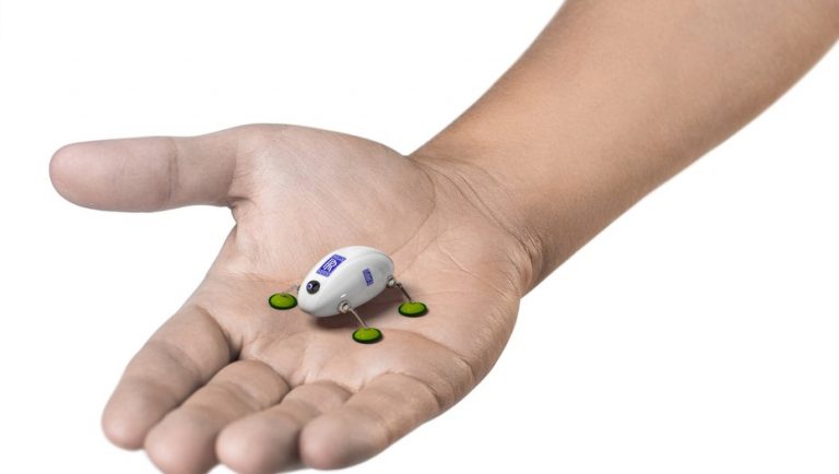 ROBOTS CUCARACHAS VIGILARÁN LA SEGURIDAD DE LOS AVIONES
