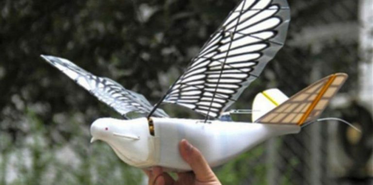 CHINA UTILIZA DRONES EN FORMA DE AVE PARA ESPIAR