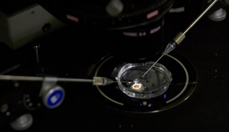 ¿BEBÉS MODIFICADOS GENÉTICAMENTE EN CHINA? UNIVERSIDAD ANUNCIA INVESTIGACIÓN
