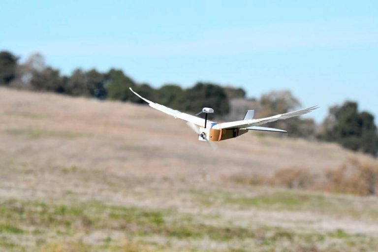 DRONES QUE IMITAN A LOS PÁJAROS: ¿EXTRAVAGANCIA O GENIALIDAD?